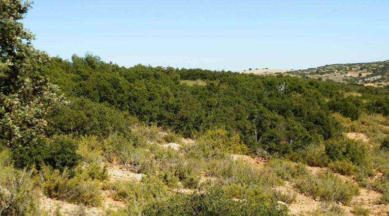 Albacete - Albacete - 160000m2