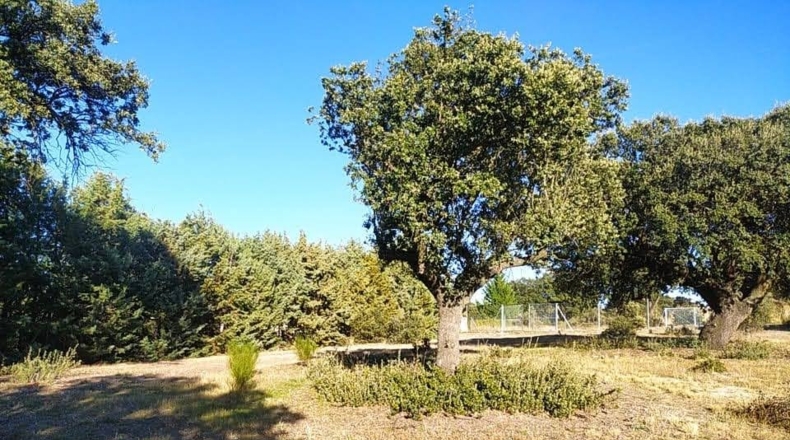 Ávila - Maello - 2944m2
