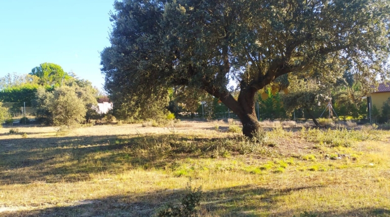 Ávila - Maello - 2944m2