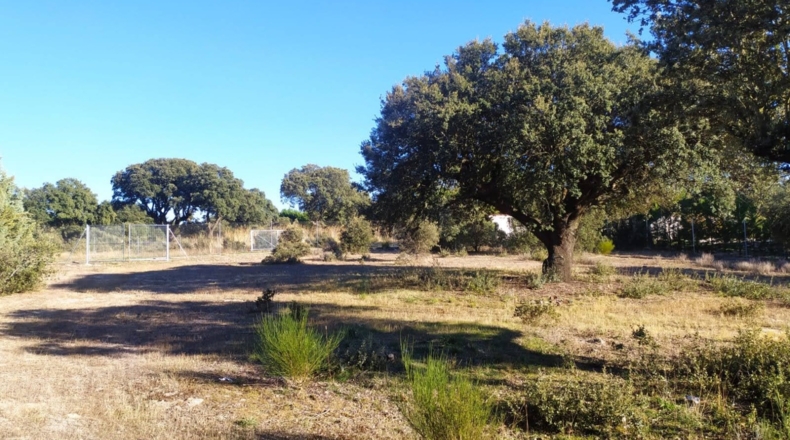 Ávila - Maello - 2944m2