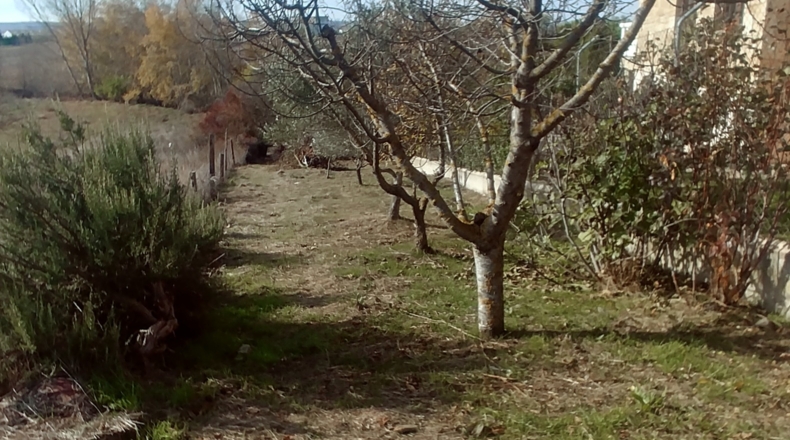 Burgos - Villalmanzo - 700m2