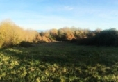 Terreno no urbanizable en venta en la Lugar de Freixedo, Freixedo, ref: TR12239 foto