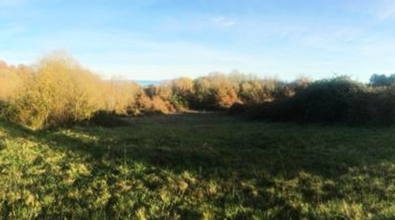 Lugo - Freixedo - 10196m2