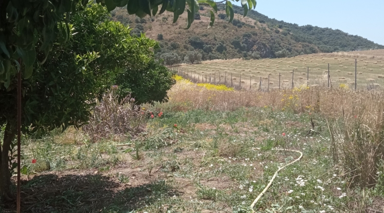 Málaga - Casabermeja - 16000m2