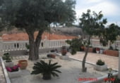 Xalet independent amb terreny en venda a la camí de Bonavista, Elx, ref.: TR20752 foto