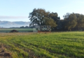 Masia with land for sale on GIV-6612, Llagostera, ref: TR17338 photo