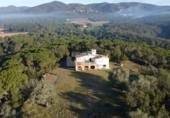 Masia with land for sale on GIV-6612, Llagostera, ref: TR17338 photo