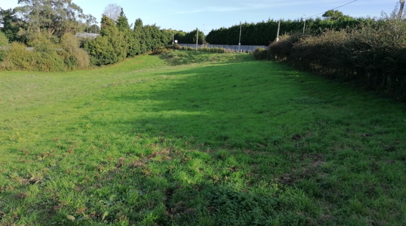 Asturias - Gijón - 11000m2