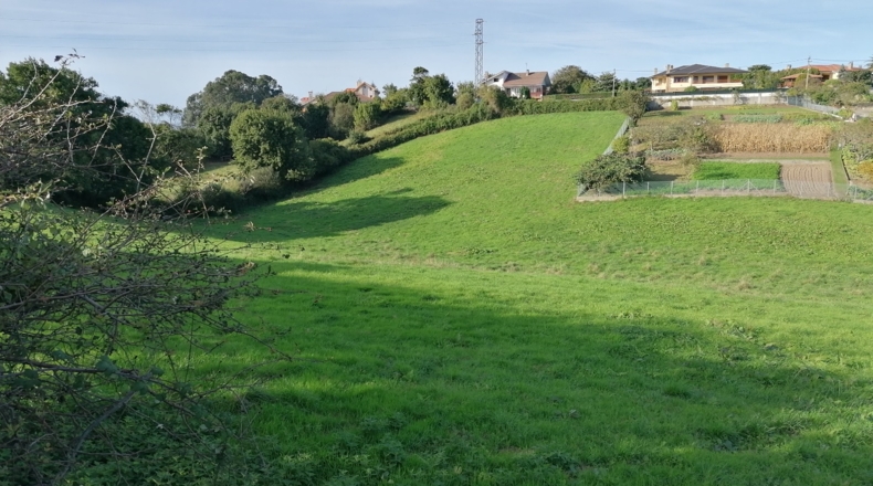 Asturias - Gijón - 11000m2