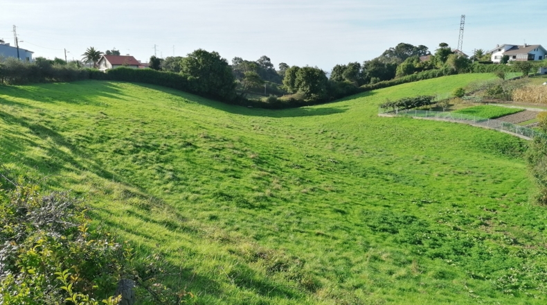 Asturias - Gijón - 11000m2