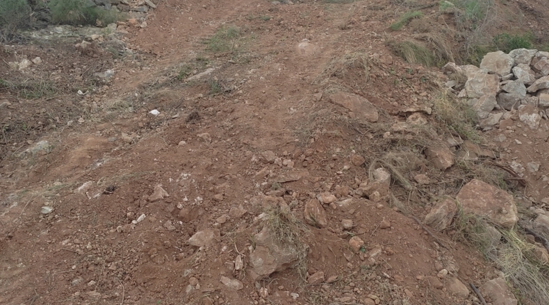 Castellón - Castelló de la Plana - 818m2