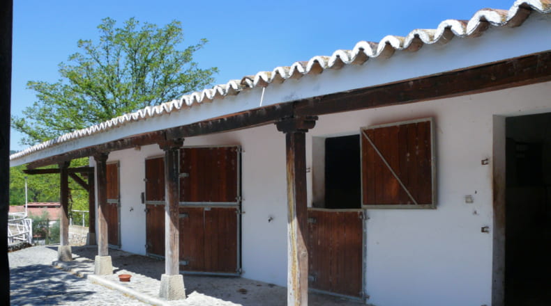 Guadalajara - Renera - 40000m2