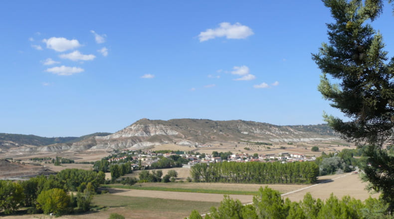 Guadalajara - Renera - 40000m2