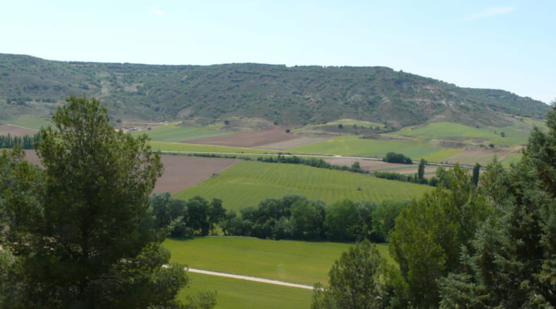 Guadalajara - Renera - 40000m2