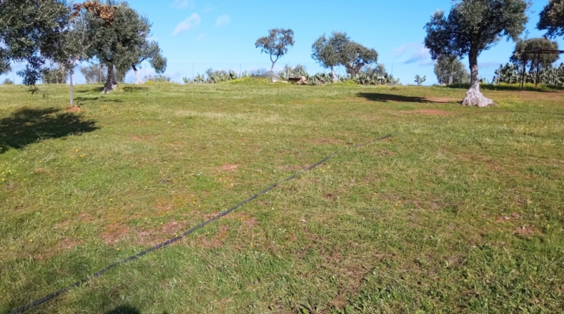 Badajoz - Don Álvaro - 50000m2