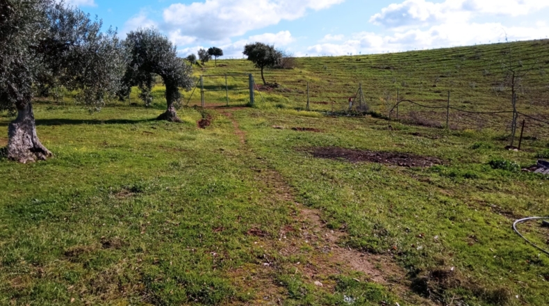 Badajoz - Don Álvaro - 50000m2