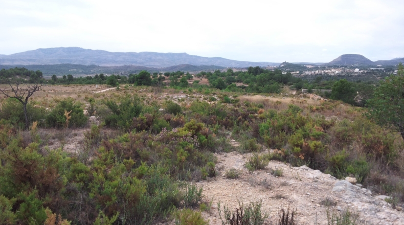 Valencia - Alborache - 6340m2