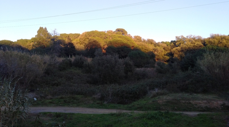 Barcelona - Arenys de Munt - 3800m2