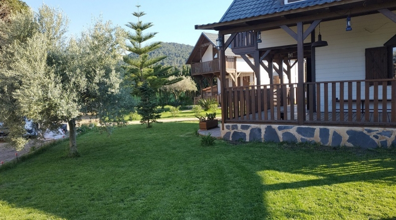 Castellón - La Vall d'Uixó - 20000m2