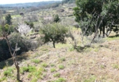 Terreny no urbanitzable en venda a la Fuente Moreno, Villanueva de la Vera, ref.: TR24794 foto