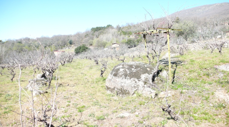 Cáceres - Villanueva de la Vera - 5027m2