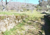 Terreny no urbanitzable en venda a la Fuente Moreno, Villanueva de la Vera, ref.: TR24794 foto