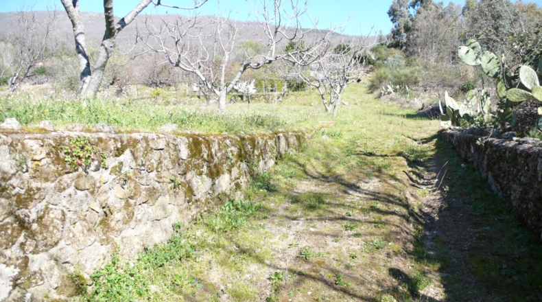 Cáceres - Villanueva de la Vera - 5027m2