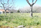 Terreny no urbanitzable en venda a la Fuente Moreno, Villanueva de la Vera, ref.: TR24794 foto