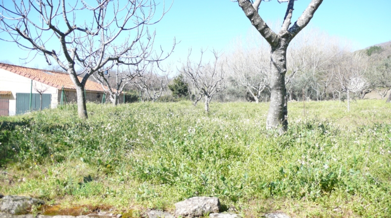 Cáceres - Villanueva de la Vera - 5027m2
