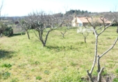 Terreny no urbanitzable en venda a la Fuente Moreno, Villanueva de la Vera, ref.: TR24794 foto