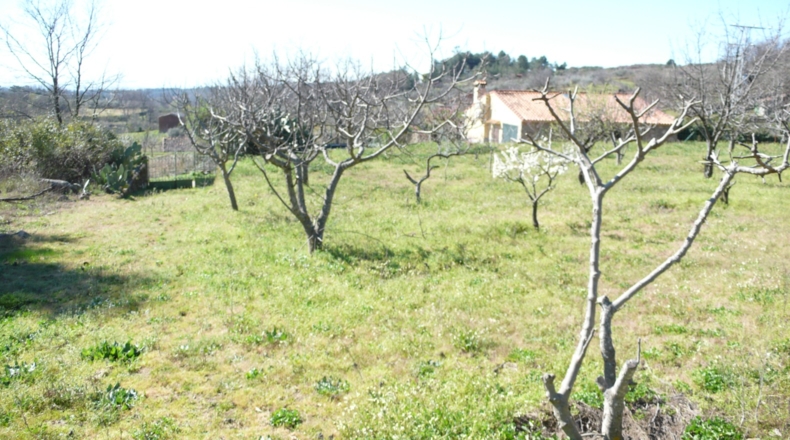 Cáceres - Villanueva de la Vera - 5027m2