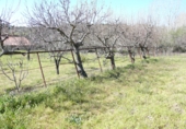 Terreny no urbanitzable en venda a la Fuente Moreno, Villanueva de la Vera, ref.: TR24794 foto