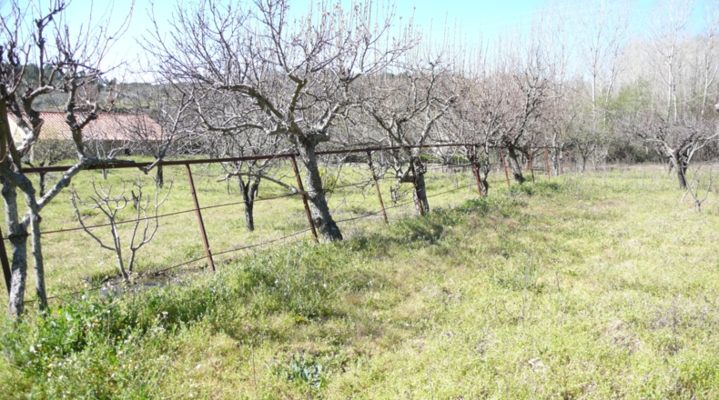 Cáceres - Villanueva de la Vera - 5027m2