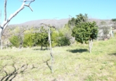 Terreny no urbanitzable en venda a la Fuente Moreno, Villanueva de la Vera, ref.: TR24794 foto
