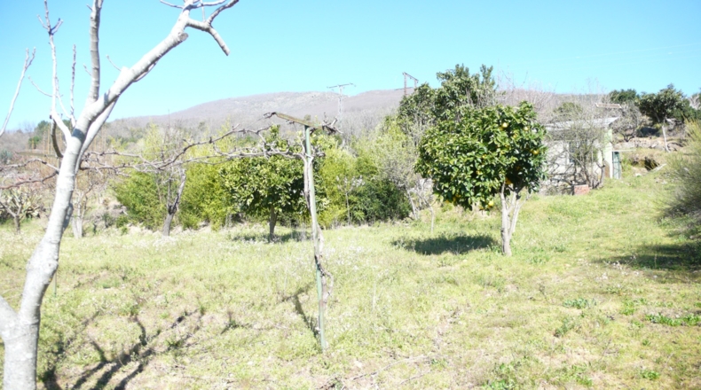 Cáceres - Villanueva de la Vera - 5027m2