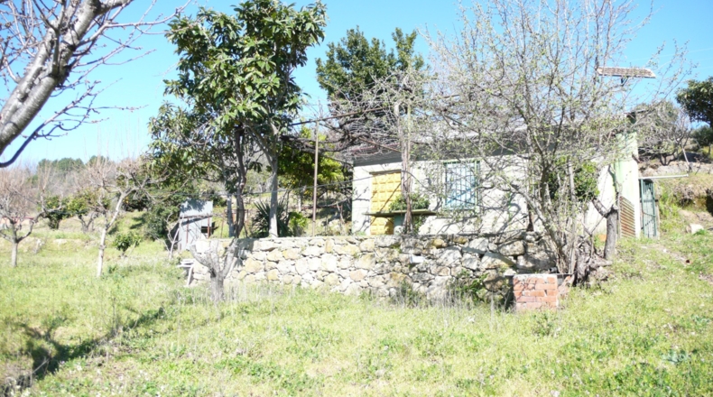 Cáceres - Villanueva de la Vera - 5027m2