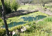 Terreny no urbanitzable en venda a la Fuente Moreno, Villanueva de la Vera, ref.: TR24794 foto