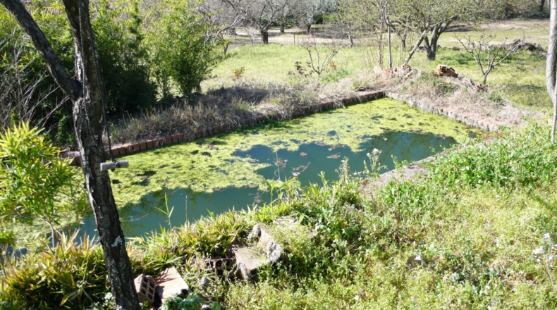 Cáceres - Villanueva de la Vera - 5027m2