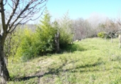 Terreny no urbanitzable en venda a la Fuente Moreno, Villanueva de la Vera, ref.: TR24794 foto