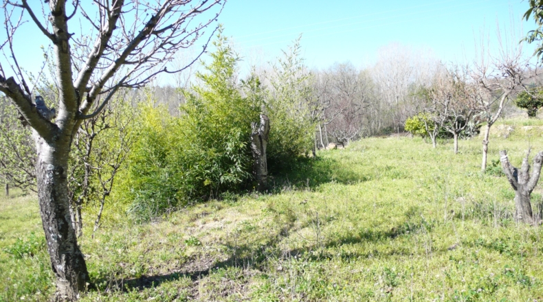 Cáceres - Villanueva de la Vera - 5027m2