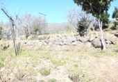 Terreny no urbanitzable en venda a la Fuente Moreno, Villanueva de la Vera, ref.: TR24794 foto
