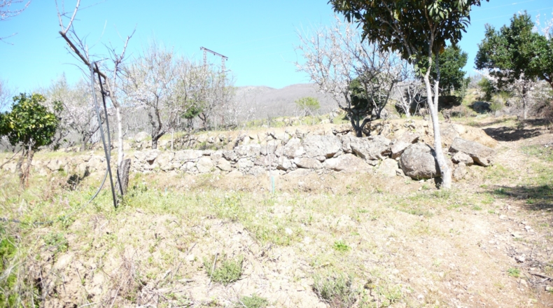 Cáceres - Villanueva de la Vera - 5027m2