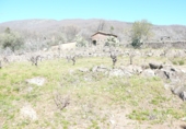 Terreny no urbanitzable en venda a la Fuente Moreno, Villanueva de la Vera, ref.: TR24794 foto
