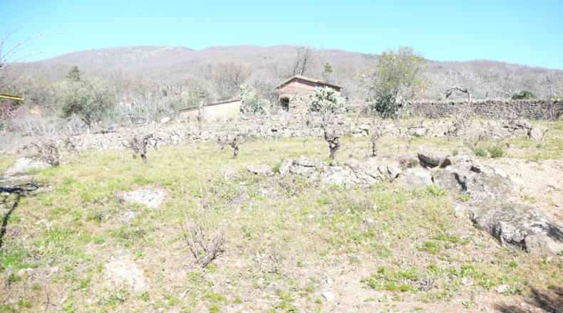 Cáceres - Villanueva de la Vera - 5027m2