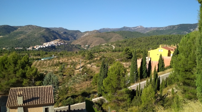Castellón - Torás - 1563m2