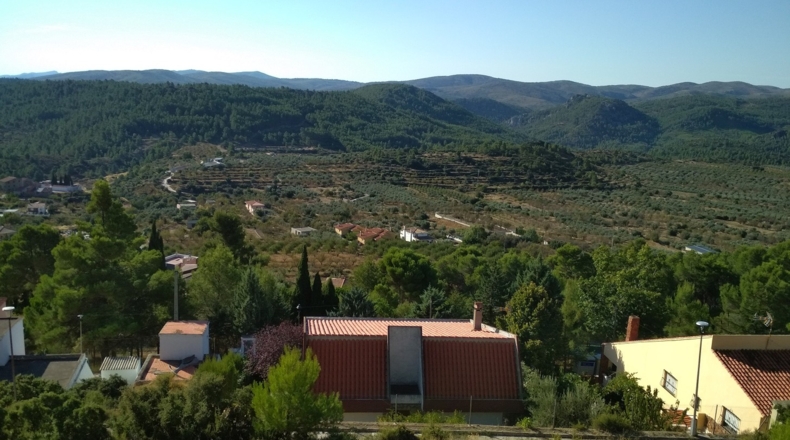 Castellón - Torás - 1312m2