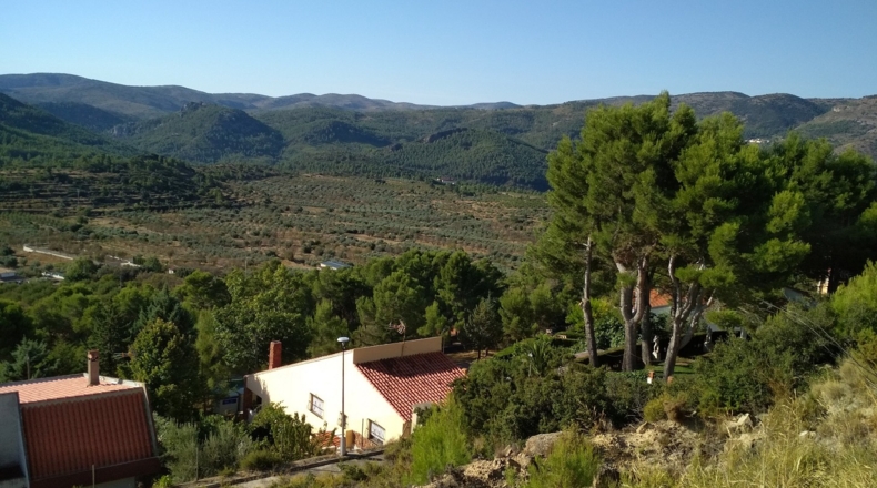 Castellón - Torás - 1312m2