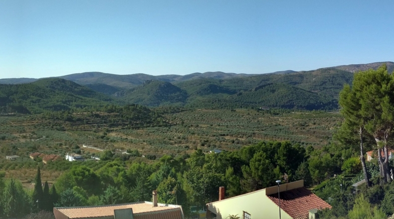 Castellón - Torás - 1312m2