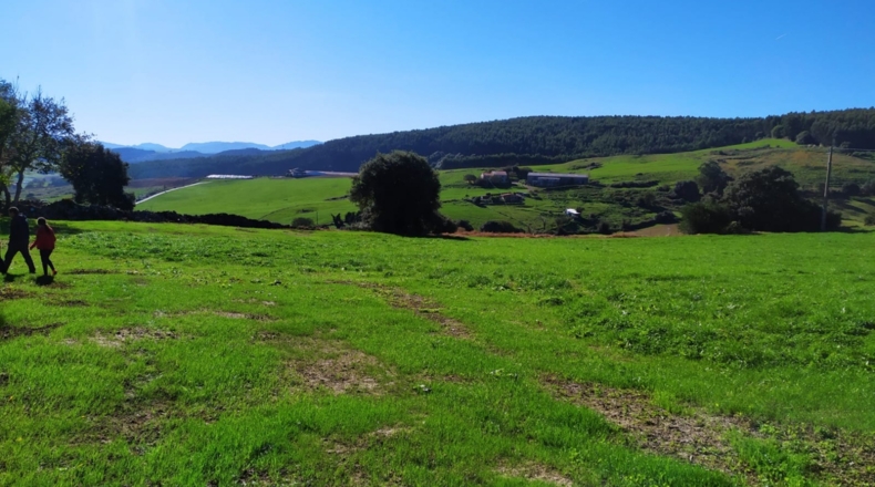 Cantabria - Bareyo - 8604m2