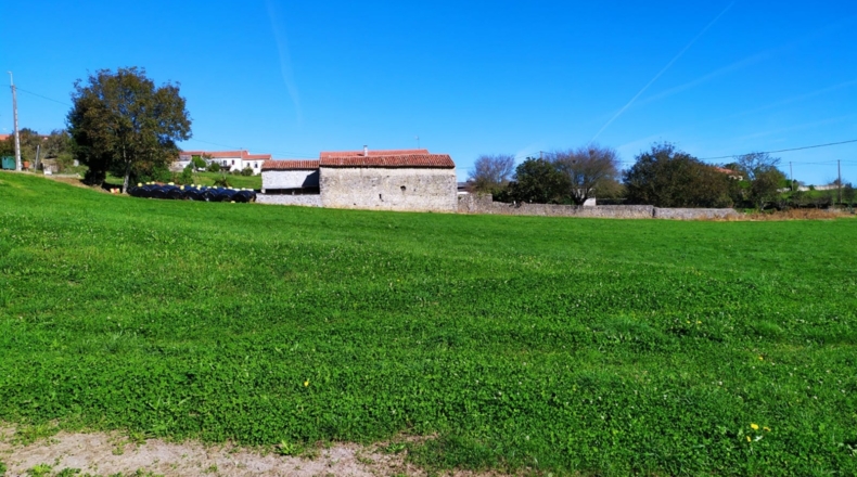 Cantabria - Bareyo - 8604m2
